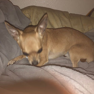 Meet your Posher, Gabriel